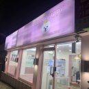 셀럽퍼피 이미지