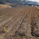 고사농장 이미지