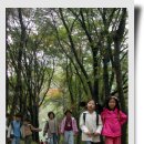 푸른숲학교 이미지