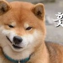 닉