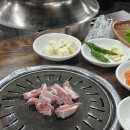 제주공항근처 도민 맛집 솔지식당 멜조림 쵸큼 아쉬운 솔직후기