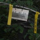 한계1리 Daum카페