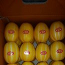 성주 - 논산시 | 성주