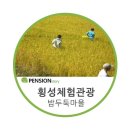 밤두둑마을 이미지