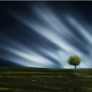 베이킹(주말) 이미지