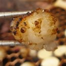 삼강양대창 이미지