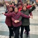 옛집한우허파 이미지