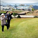 선단동주민자치센터 이미지