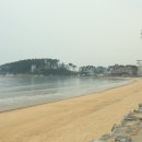 만리포해송펜션