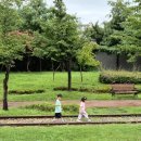 진영산업(주) | 김해 진영역 철도박물관 | 폐역의 변신, 아이들과 떠난 추억 여행