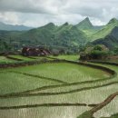 베트남의 기후 금융 문제 해결 이미지