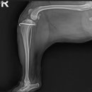 계양24시SKY동물병원