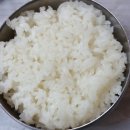 박존옥 천마설렁탕 & 갈비탕 이미지