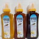 벧엘 양봉 이미지