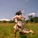 믿음은 인간의 무능력 위에 세워진 하나님의 약속/ 율법은 하나의 거울 이미지