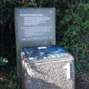 도르멍멍 이미지