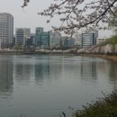 포웰의원 이미지