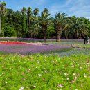 이호해변 이미지