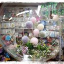 꽃풍선 & 버블 플라워 이미지