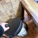 돼지신랑 순대각시 | 속초 돼지고기/소고기 찐맛집 추천[돼지신랑소주각시] 내돈내산 방문 후기