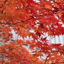 수밋들공원_1 | 늦가을에서 초겨울까지