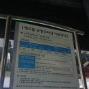 중앙동264 이미지