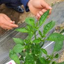 서천군농업기술센터 이미지