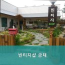 금채샵