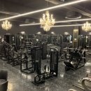 대전 태평동 APEX GYM 정규or파트 트레이너 선생님 구인 이미지