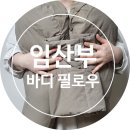 [임산부바디필로우 추천] 일상유희나비형바디필로우 리얼 후기