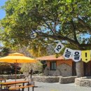 신안 우전 설레미 캠핑장 이미지