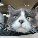 너와나,묘연 이미지