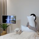 포렌하우스 이미지