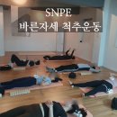 지나얼라인