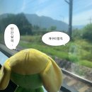 [일상] 노잼의 하루