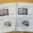 이종신재활의학과의원 | Neuroplasticity in Therapy 후기 - 인천소아재활 이종신재활의학과의원