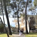 매그 | [남프랑스 니스 여행] 생폴드방스(Saint-Paul-de-Vence), 매그 미술관(Fondation Maeght) 후기