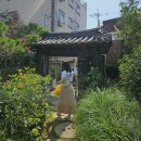 여름 군산 1박2일 여행 (핫플은 다 가본 후기!)