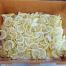 수제청 만들기 이미지