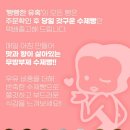 내돈내산 당일제빵 빵빵한유혹 베이커리 피자빵 맛후기