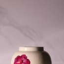 달의케이크 이미지