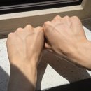 여름 필수 관리템 <자작나무 수분선크림> 내돈내산 솔직 후기