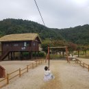 골안어린이공원 | [고령아이와]대가야생활촌 대가야피크닉 가을운동회 마술쇼, 공연, 무료체험, 보물찾기