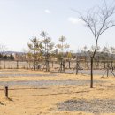 평화누리캠핑장 이미지