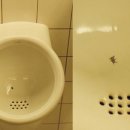 디자인프렙 이미지