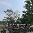 동근목장 이미지