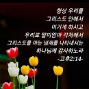 믿음 - 세종특별자치시 보통1길 124 | 믿음