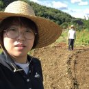 정주농장 이미지