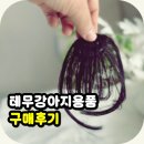 (주)산강아지 | 테무산 강아지 용품 구입 후기