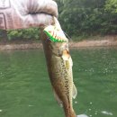 고남저수지 이미지